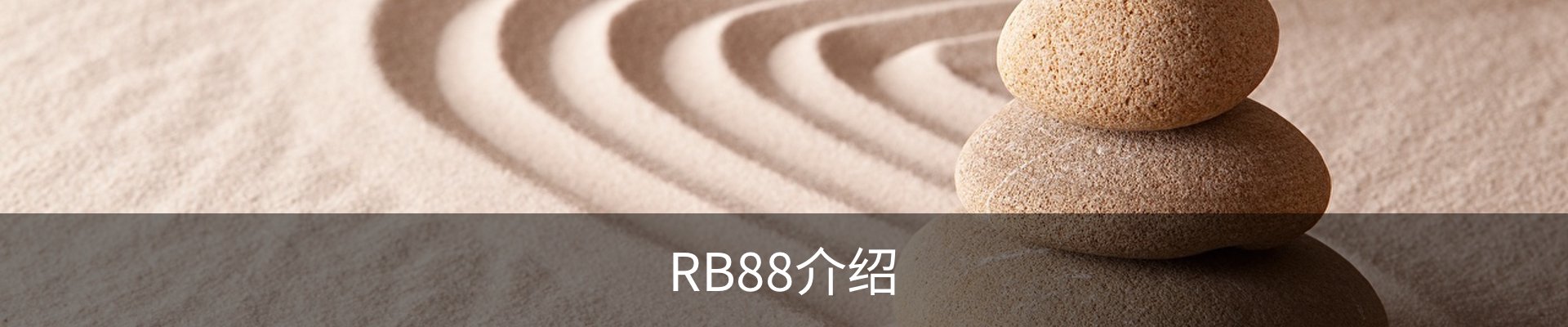 RB88介绍